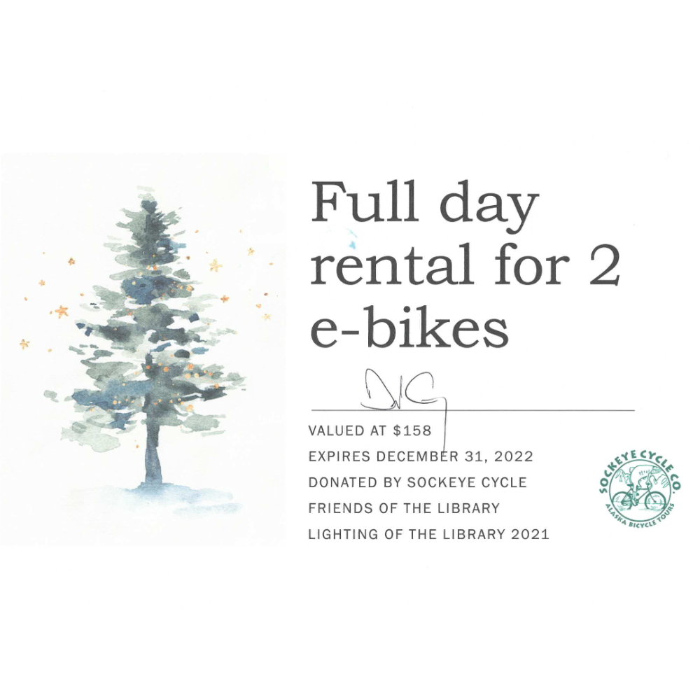 2 E-bike Rentals
