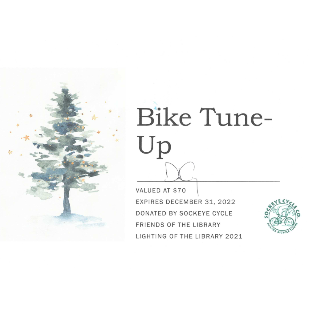 Bike Tune-Up