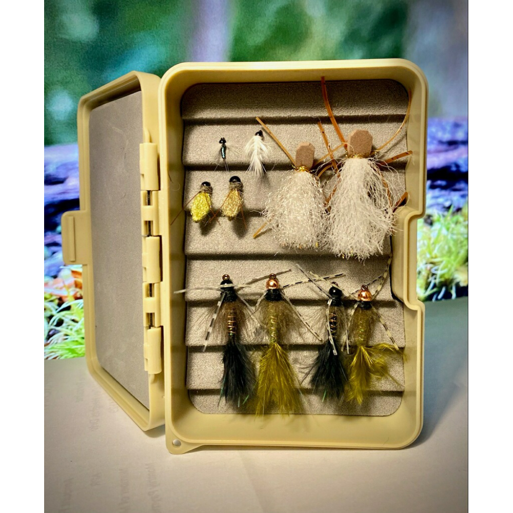Assorted flies / fly box