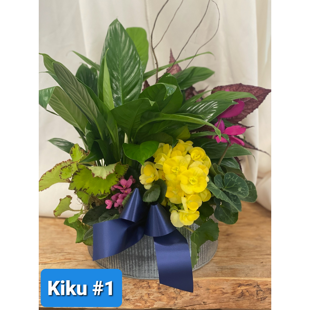 Kiku Floral Plant Arrangement #1