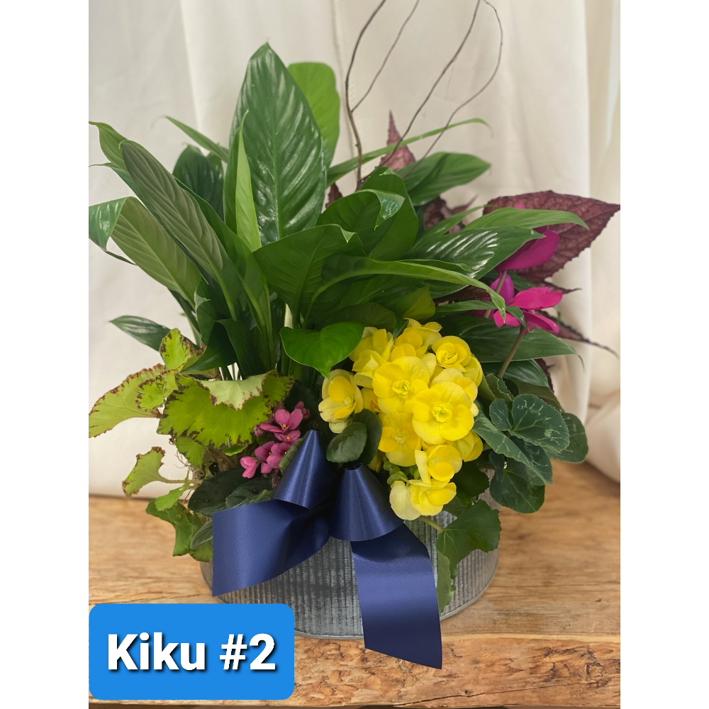 Kiku Floral Plant Arrangement #2