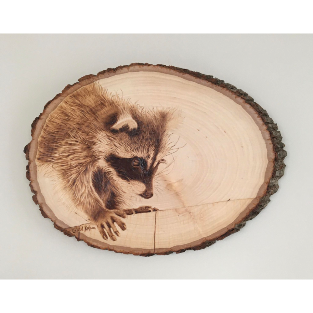 “A Big New World” -  Raccoon Kit Pyrography Wall Art 8 x 10
