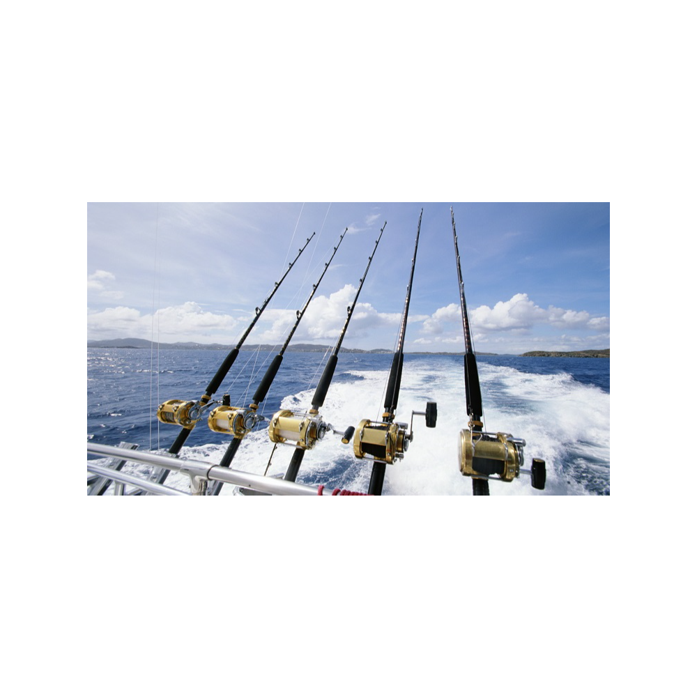Ultimate Offshore Saltwater Fishing Experience
