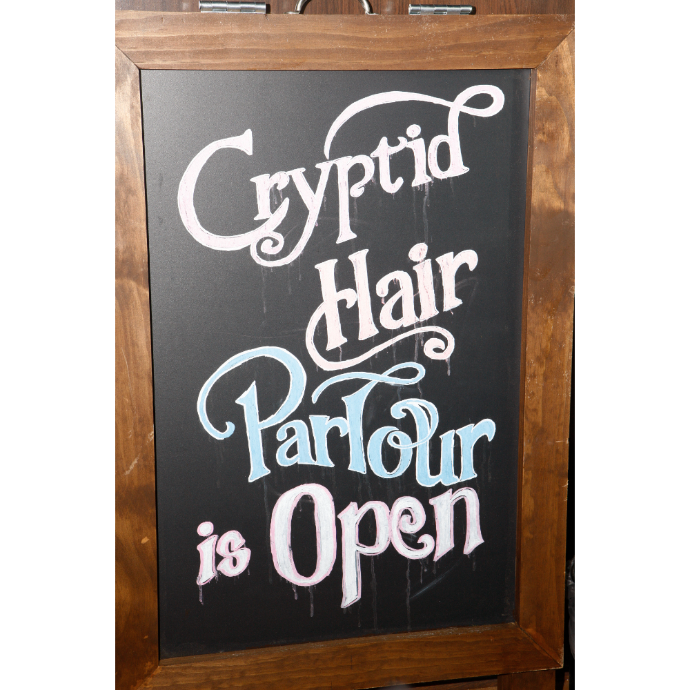 Cryptid Hair Parlour - Hair Products Package
