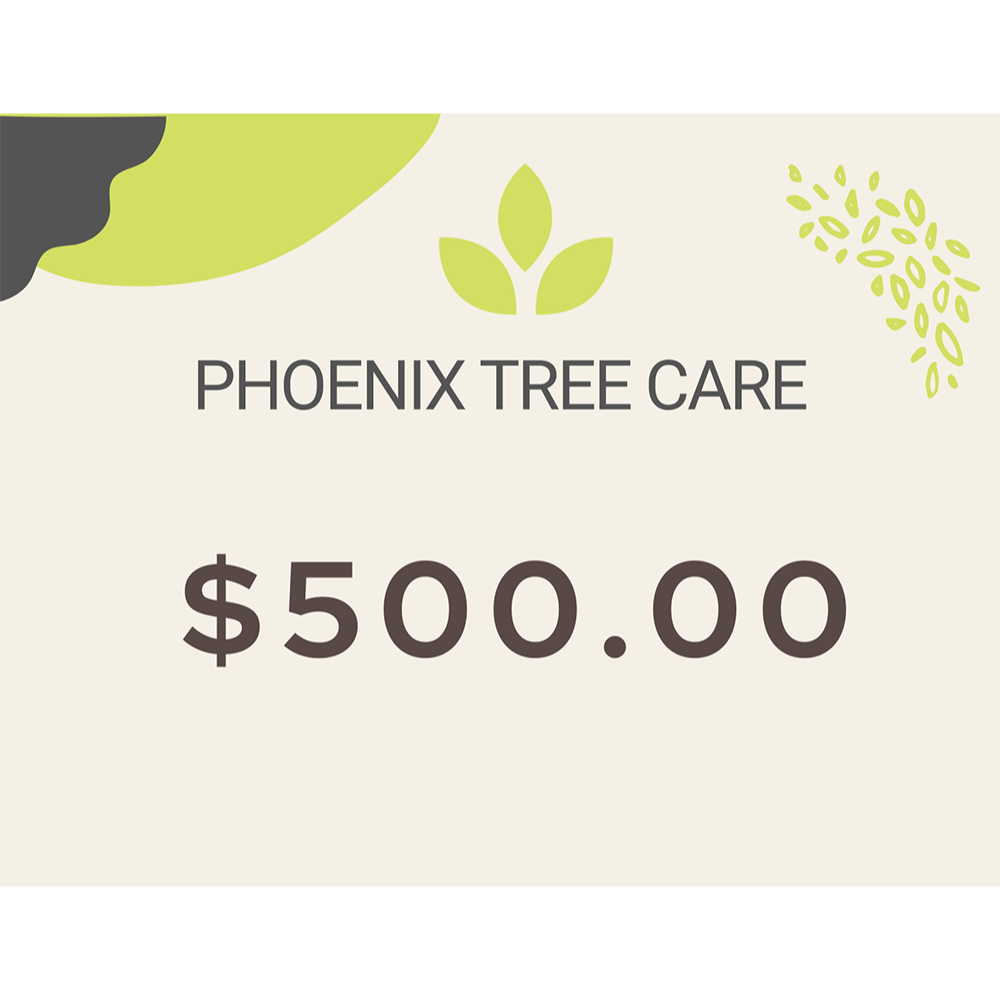 Phoenix Tree Care - $500 Gift Certificate