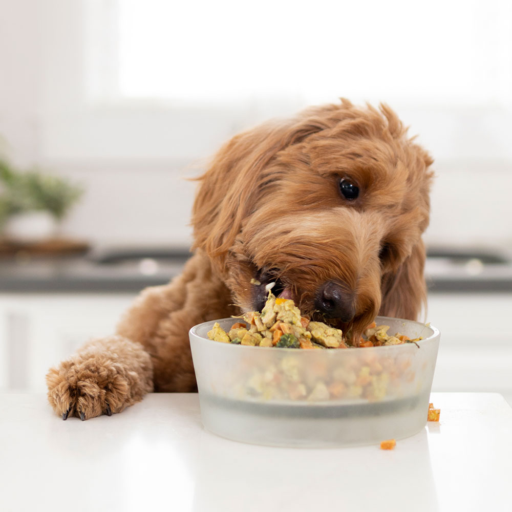 Two weeks’ worth of fresh, restaurant-grade food, customized for any dog/cat!