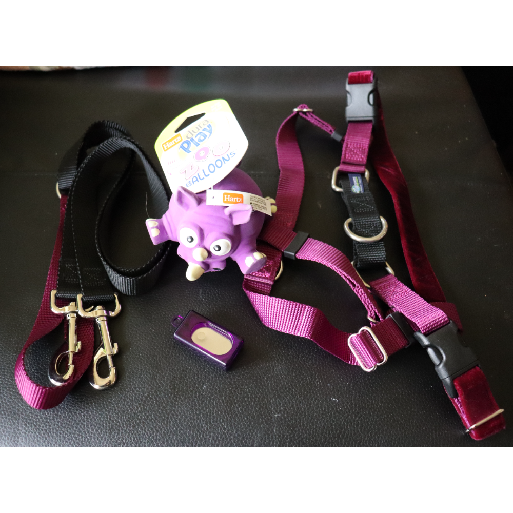Large 2 Hounds Design No Pull Harness and leash w/ Hartz toy