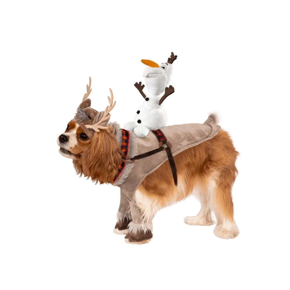Olaf Dog Costume  - Small