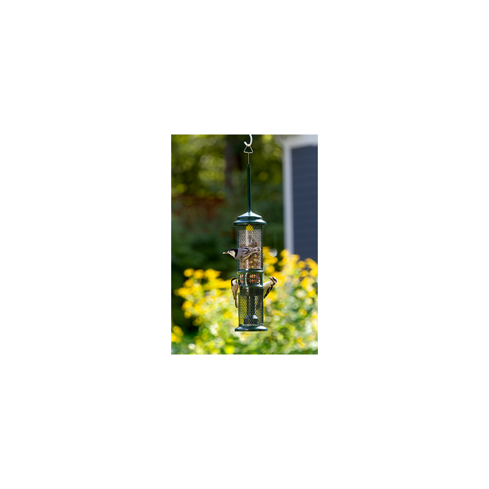 Squirrel Buster Nut Feeder, NEW PRODUCT!