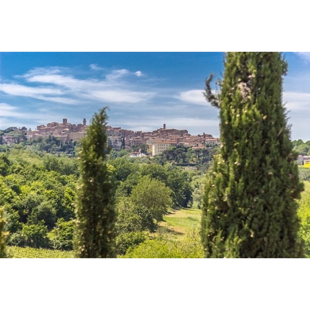 7 Nights in Luxurious Tuscan Villa - Sleeps 8