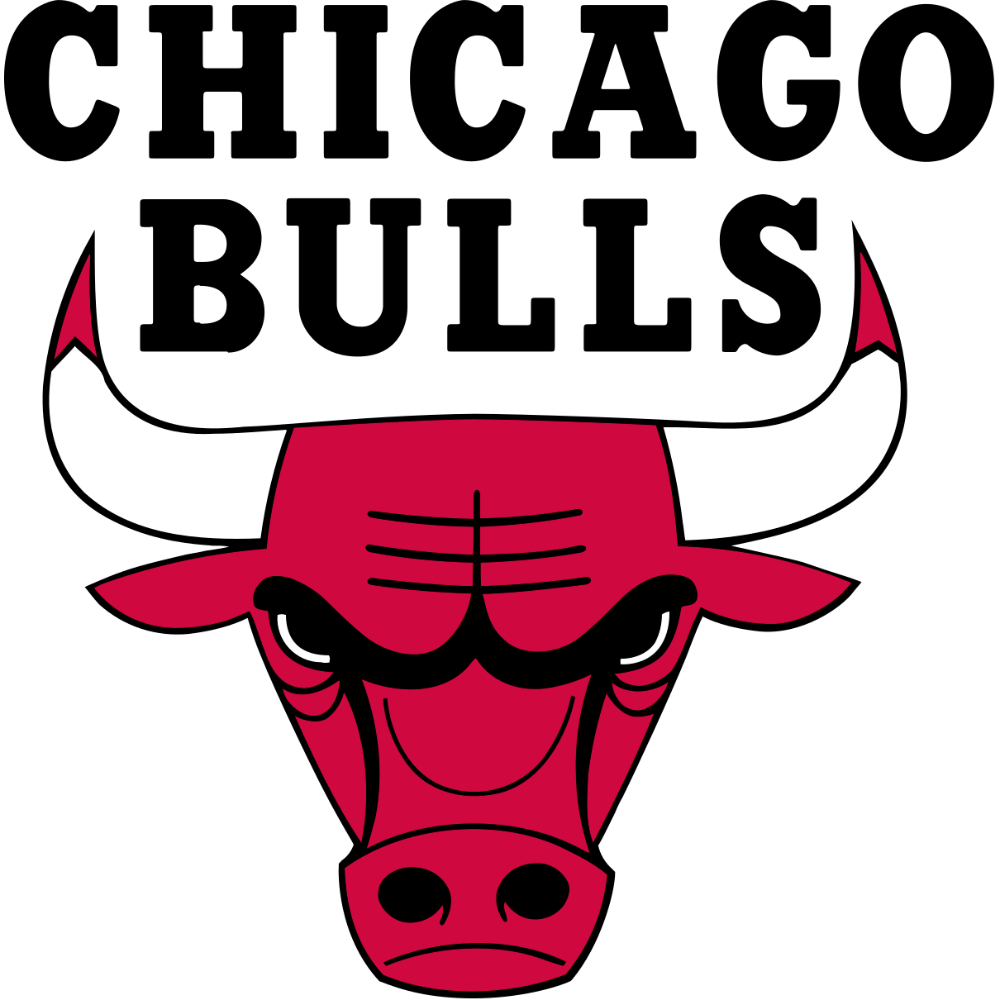 CHICAGO BULLS SKYBOX and 12 Tickets