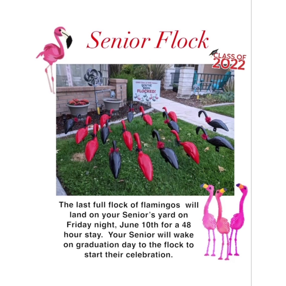 Senior Flocking