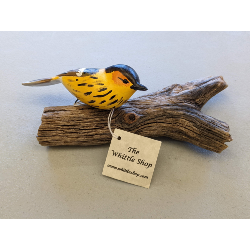 Hand-Carved Cape May Warbler