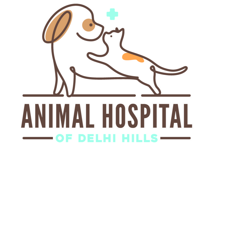 Animal Hospital of Delhi Hills Gift Certificate