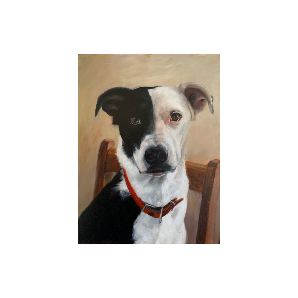 BiddingOwl TEST For MoonRise Therapeutics Auction