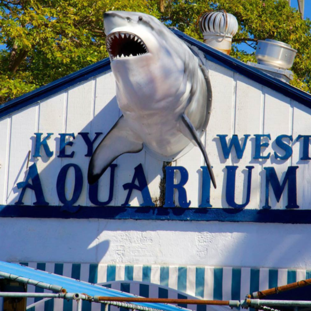 2 VIP Passes to the Key West Aquarium