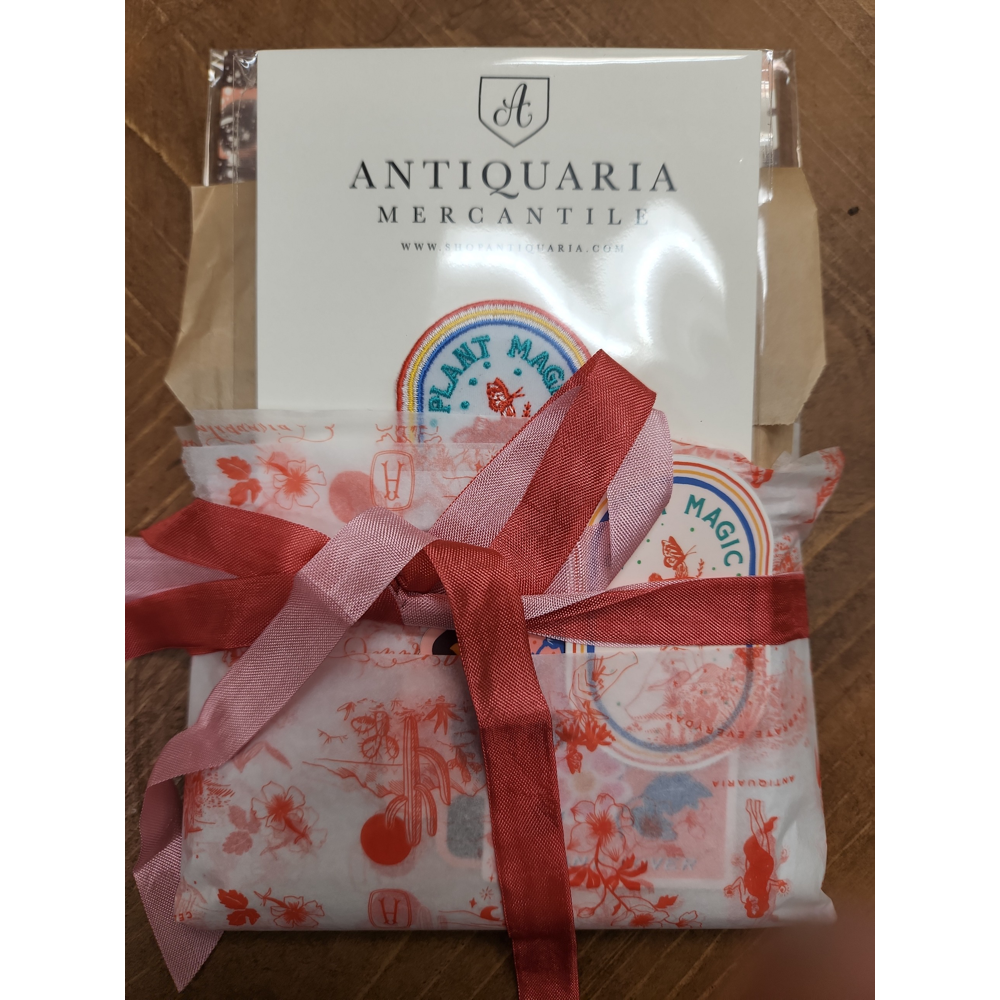 Stationery set from Antiquaria Mercantile in Littleton