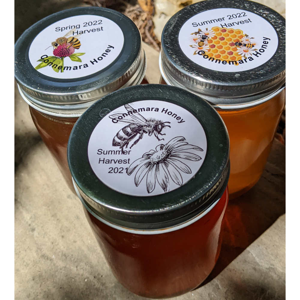 3-Jar Set of Connemara Honey and 1 Packet of Meadow Wildflower Seeds