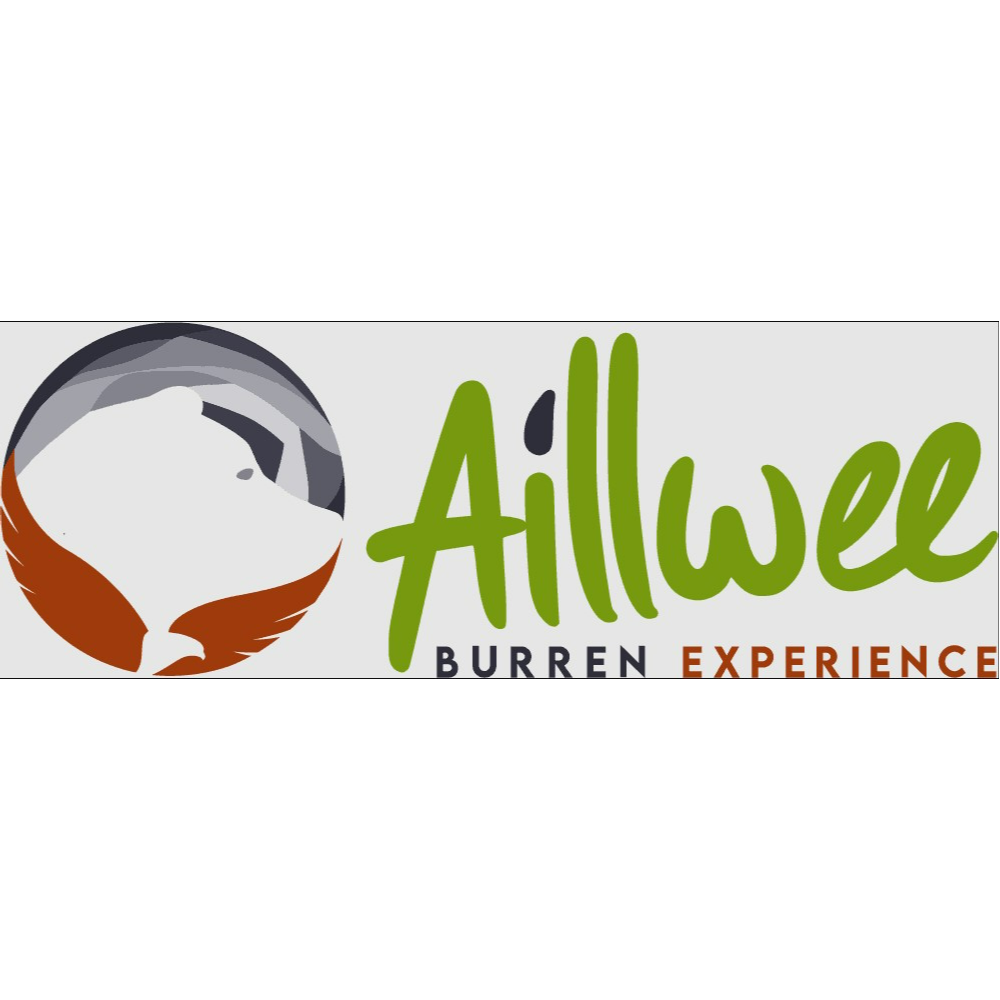 Aillwee Cave & Bird Experience