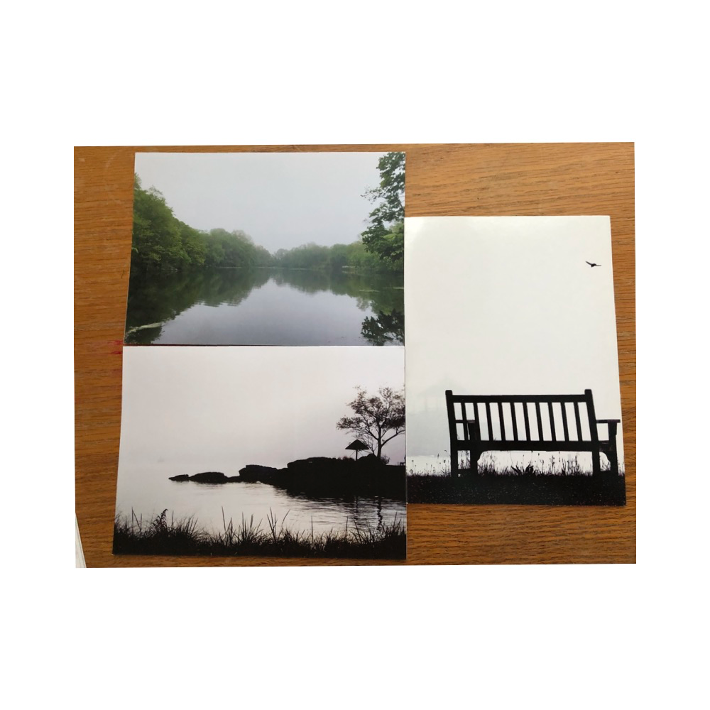 Amy Nathan, 6 Larchmont Greeting Cards, Photo cards 3 each of 3 Larchmont scenes