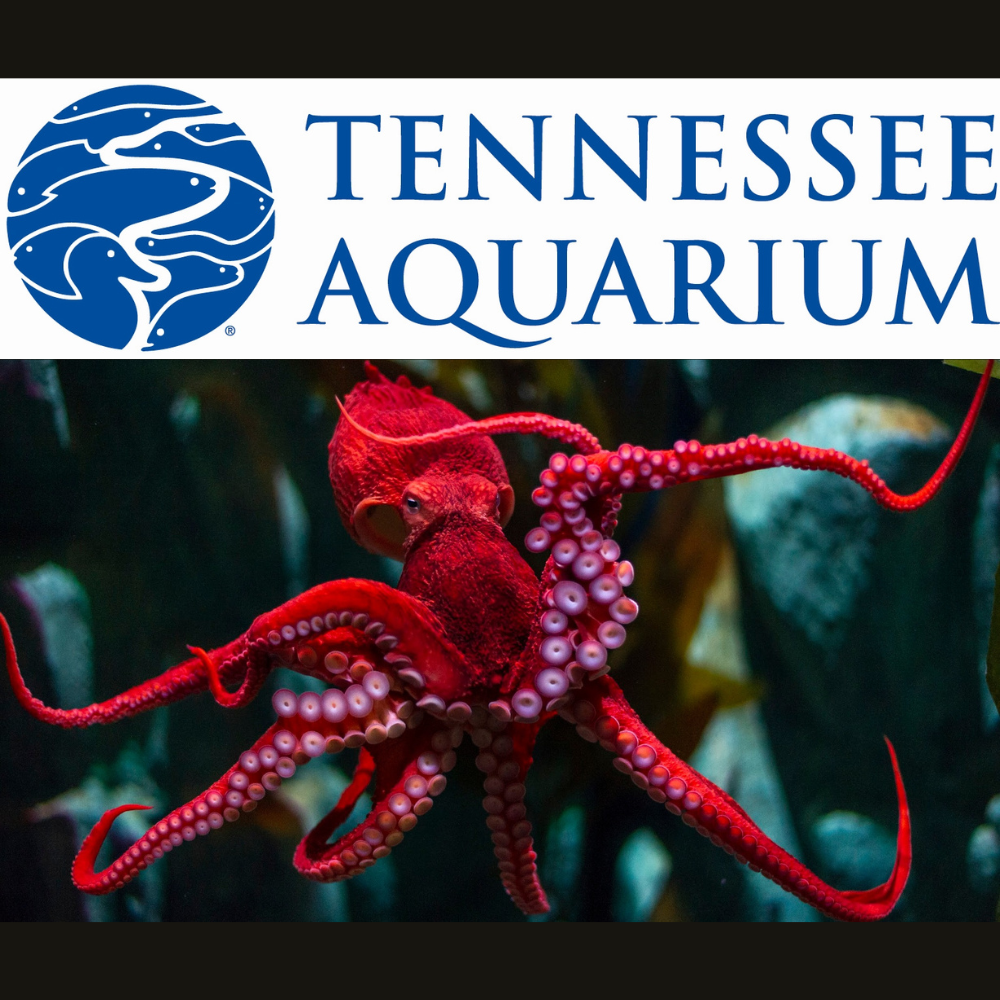 Tennessee Aquarium - 2 general admission tickets