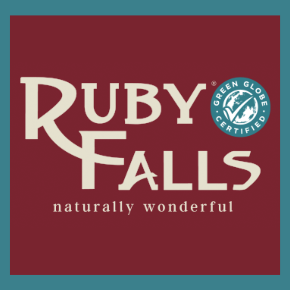 Ruby Falls - Family Pass