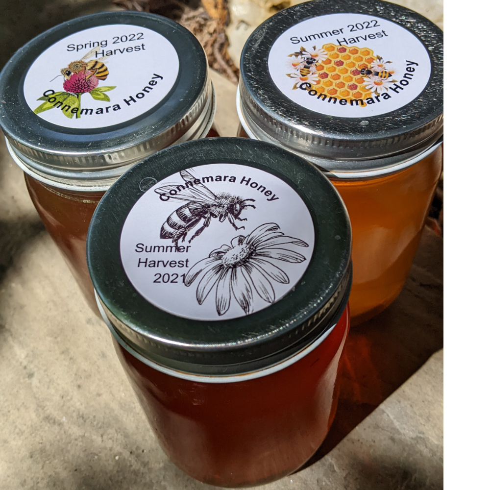 3-Jar Set of Connemara Honey and Packet of Meadow Wildflower Seeds