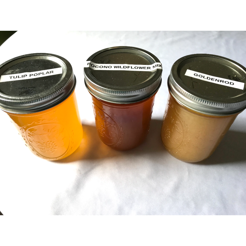 Monroe County Honey - set of 3 22oz jars