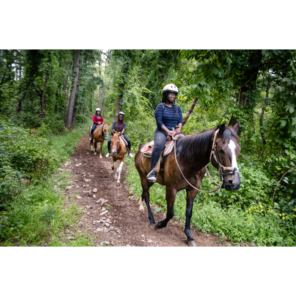 Horseback Riding at Mountain Creek Stables