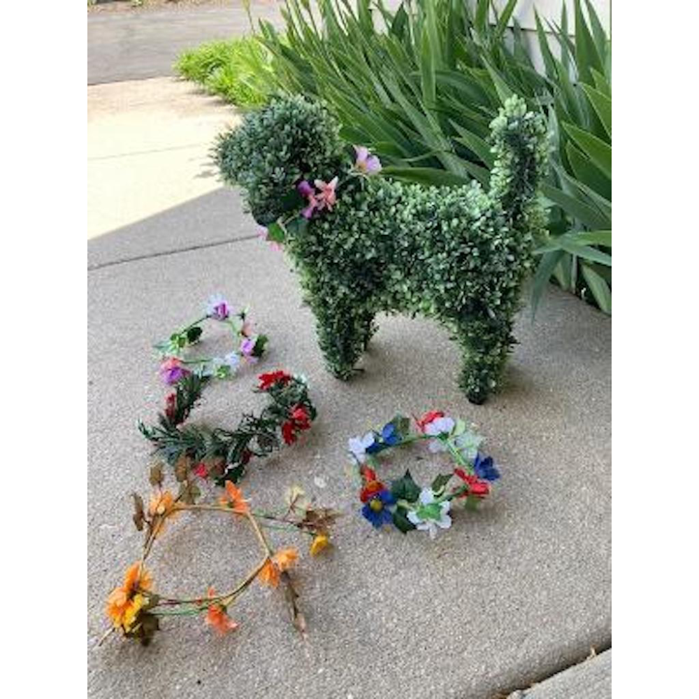 Havanese Topiary with Collars