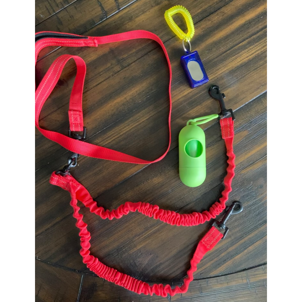 Red Dual Leash, Bags and Clicker