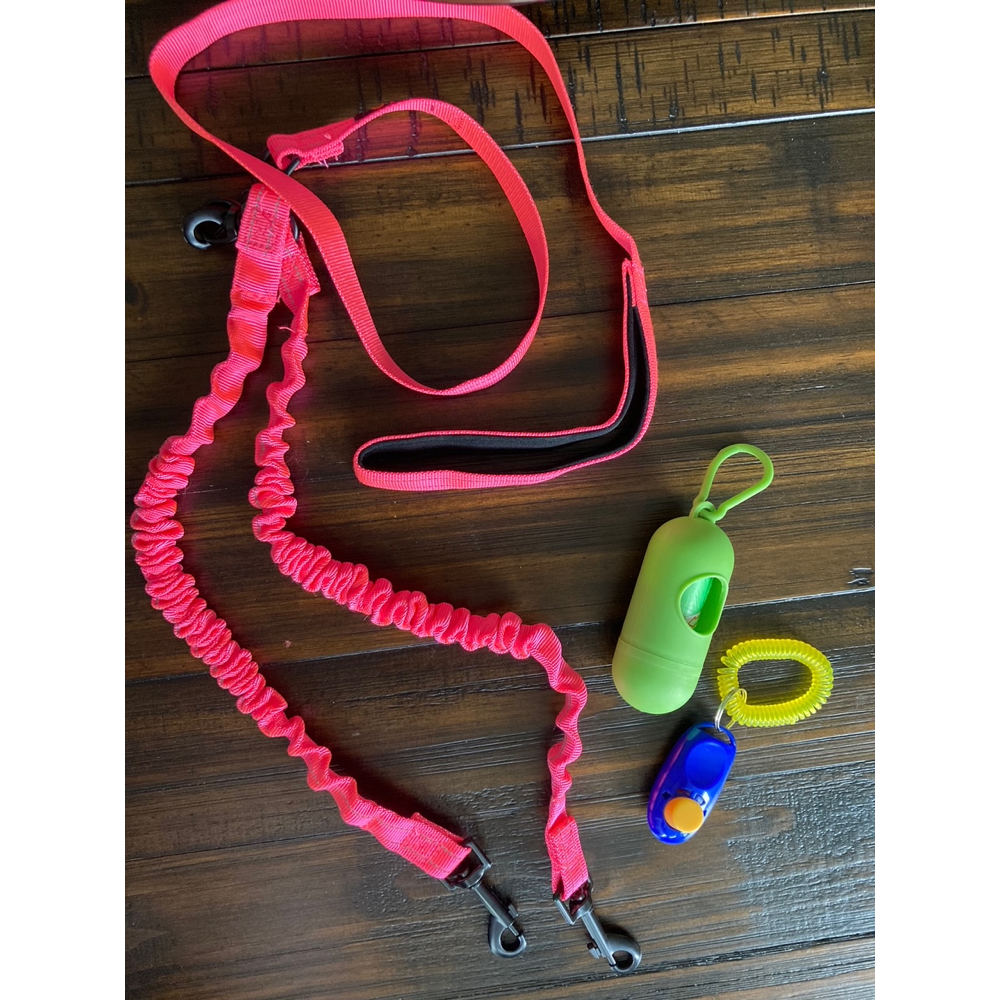 Pink Dual Leash, Bags and Clicker