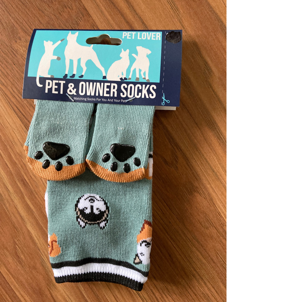 Dog and Owner Socks