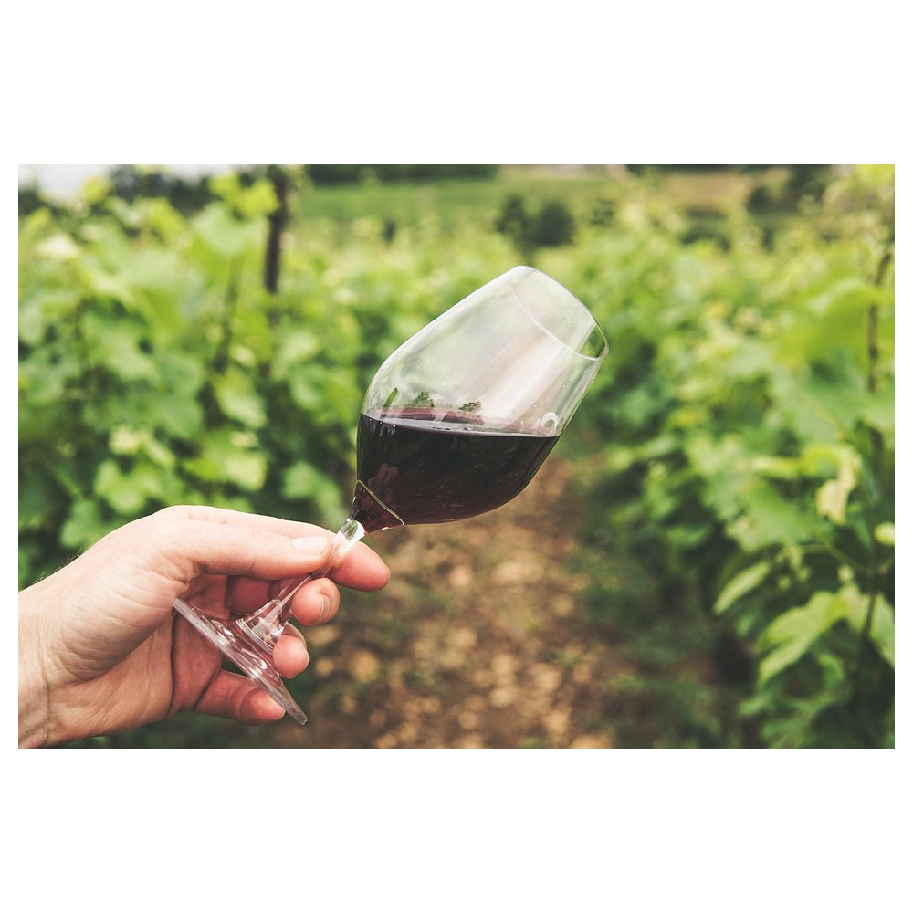 PRP Wine International: Wine Sampling Experience