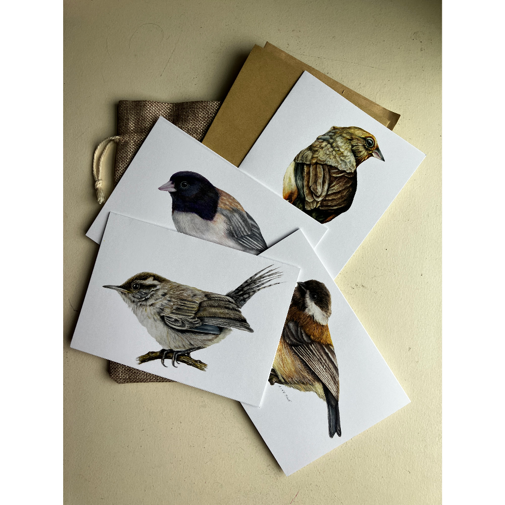 Bird Notecards by Amy Tan