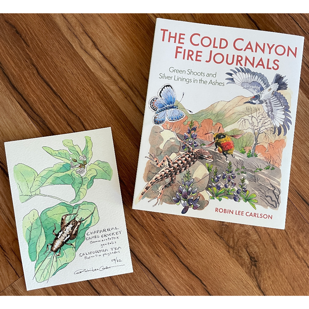 Signed Copy of The Cold Canyon Fire Journals and an Original Painting by Robin Lee Carlson