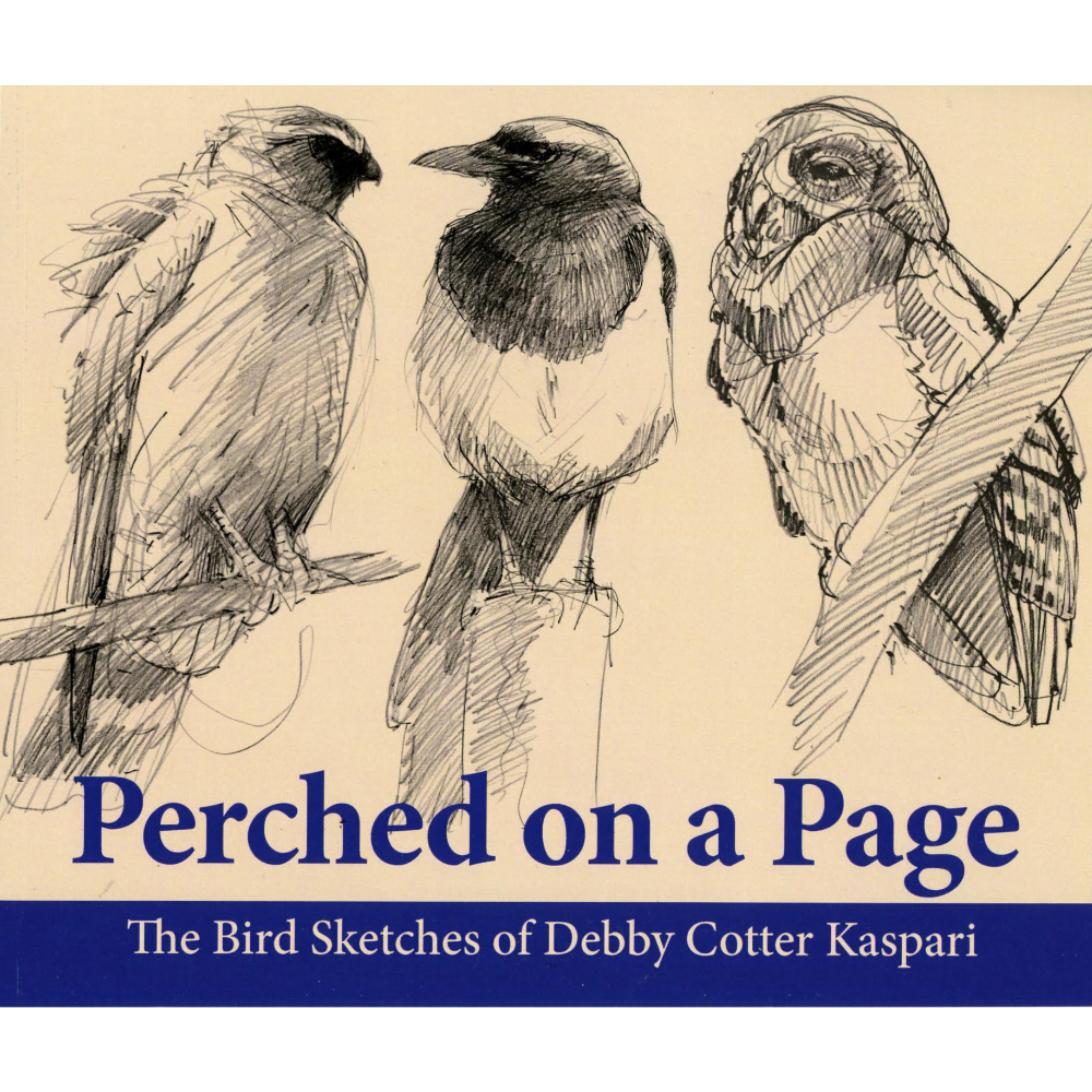 Perched On A Page: The Bird Sketches of Debby Cotter Kaspari 