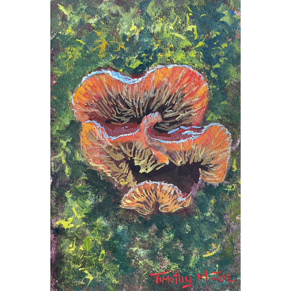 Velvet Food Mushroom Painting by Timothy M. Joe
