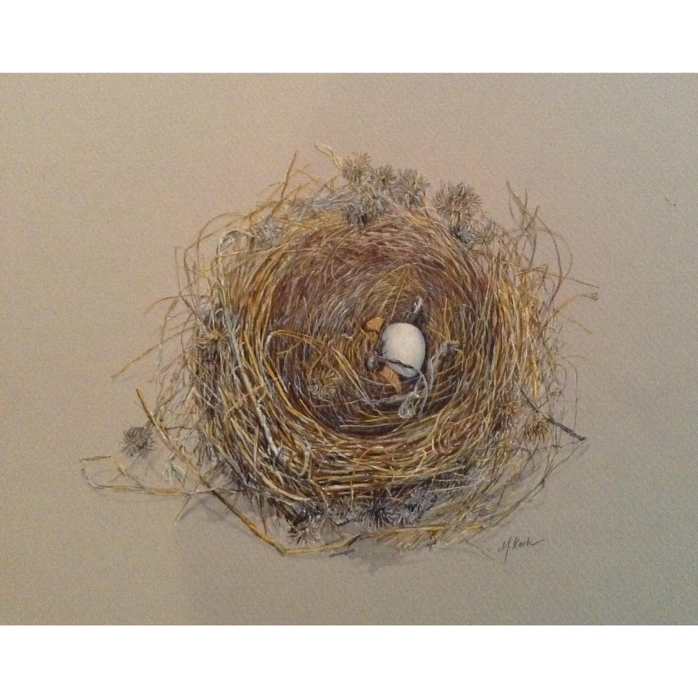 Bird Nest With One Egg by Maryjo Koch