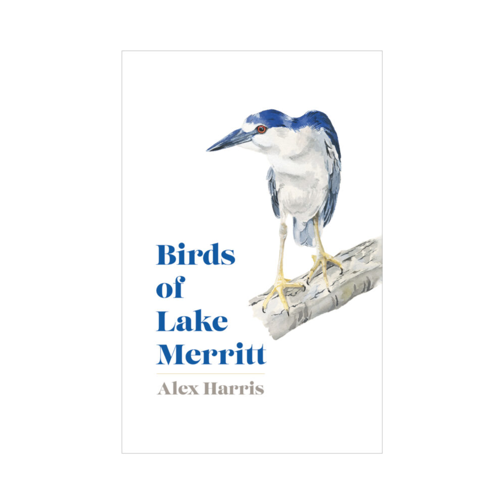 Birds of Lake Merritt