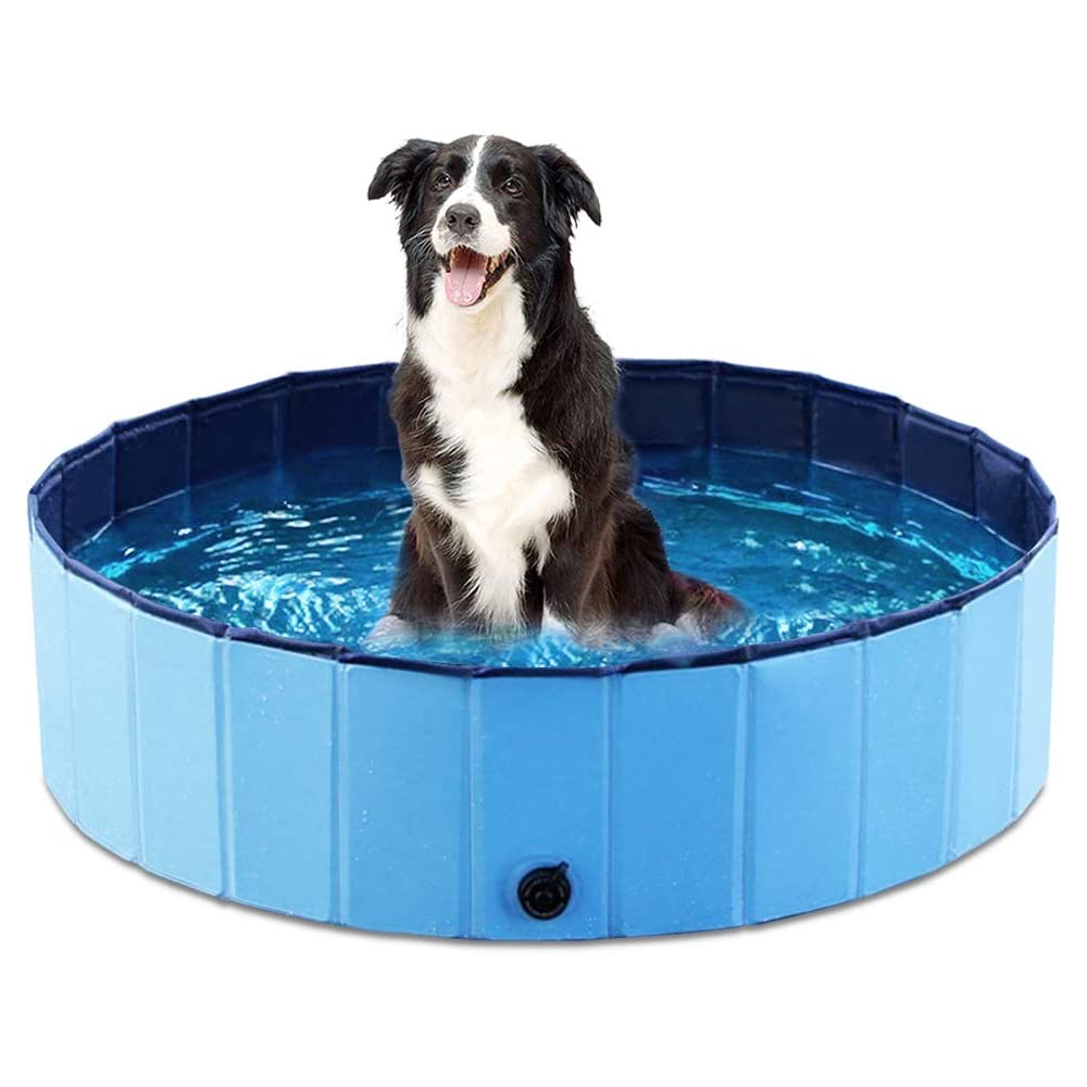 Collapsible Pet Pool