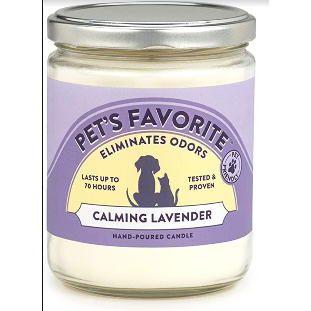 Odor Eliminating Candle: Pet-Friendly