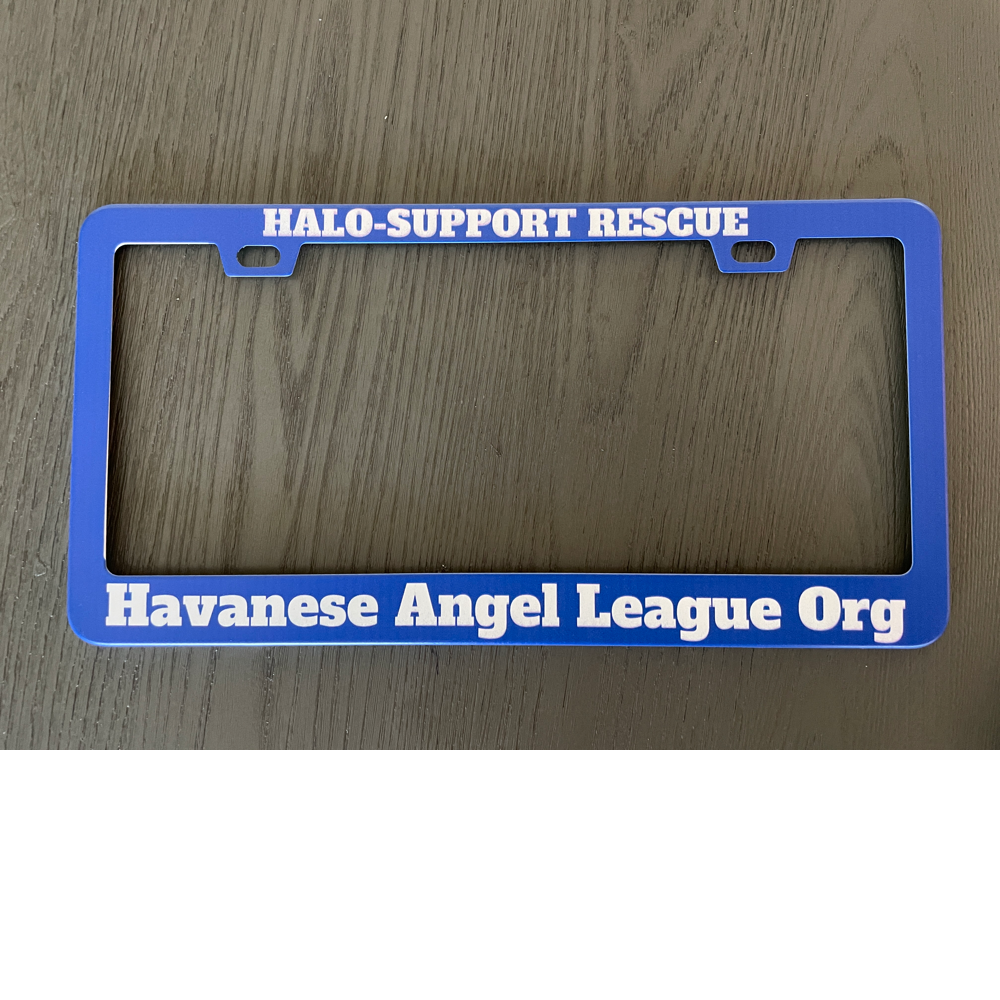 Blue HALO License Plate Frame