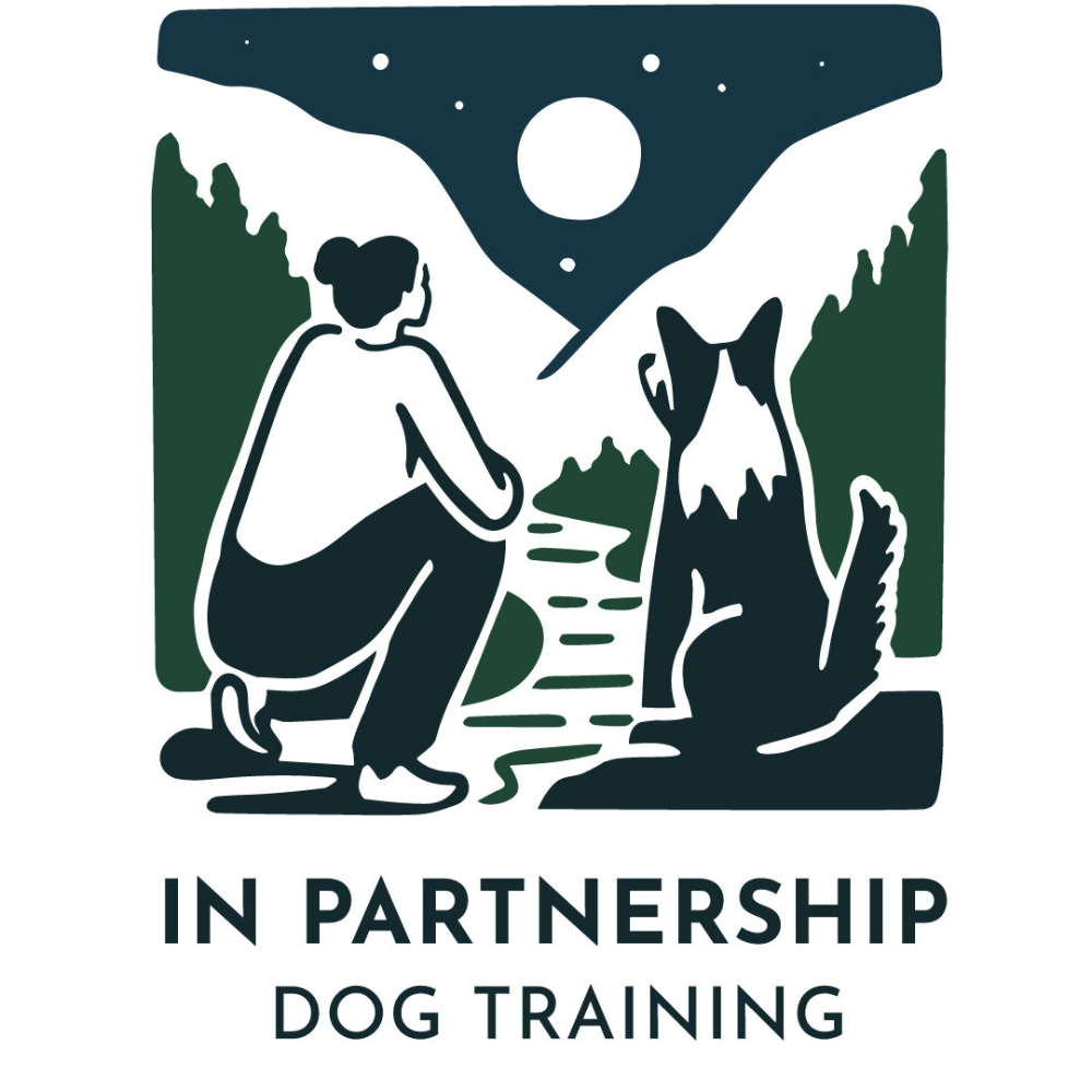 Private In Person Initial Consult - In Partnership Dog Training (Vancouver)
