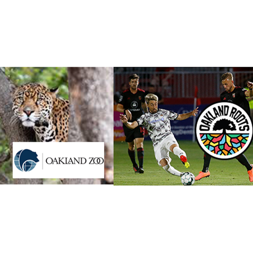 All Oakland! –   Soccer and zoo!