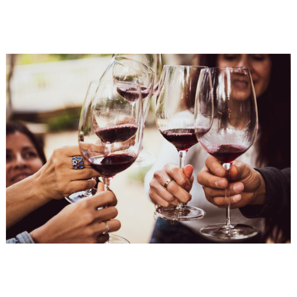 PRIVATE WINE CLASS FOR 20 AT TOTAL WINE & MORE