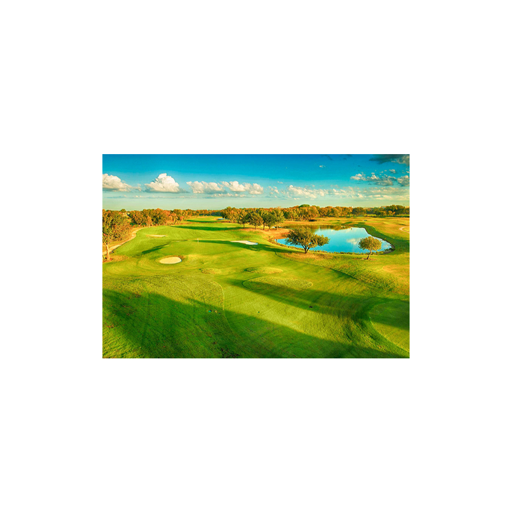 Courses at Watters Creek - Round of 4 with Carts