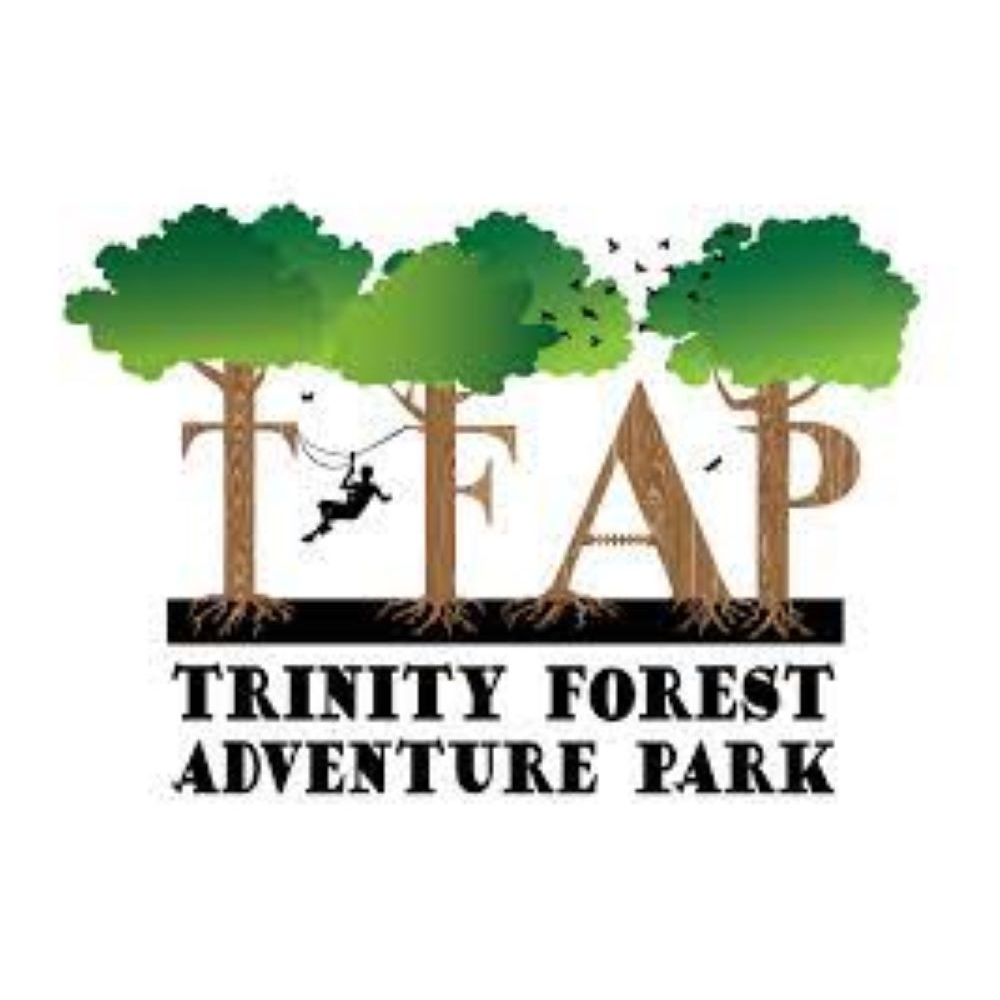Trinity Forest Adventure Park 