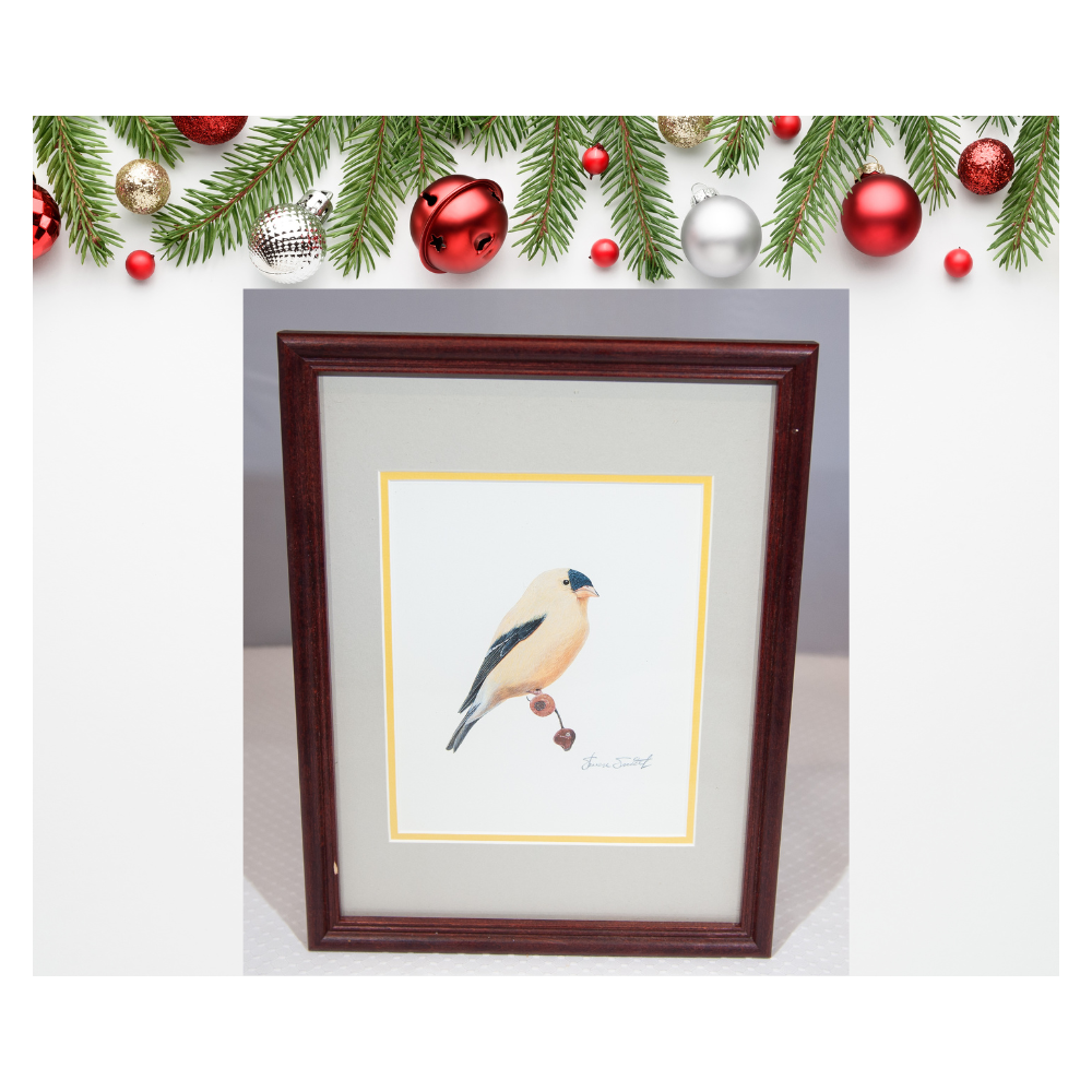 American Goldfinch Framed Print