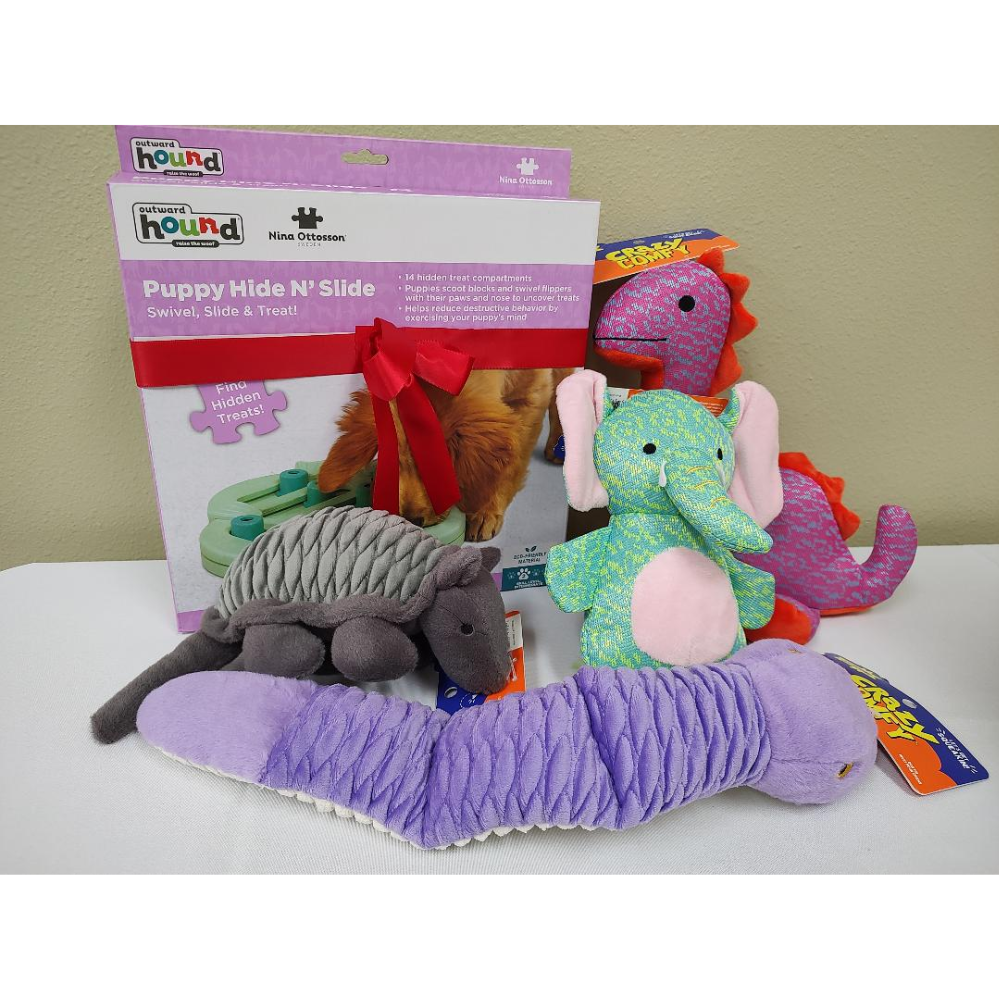 BiddingOwl Great Southwest Council Auction